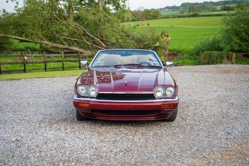 1995 Jaguar XJ-S Convertible à vendre (picture 16 of 261)