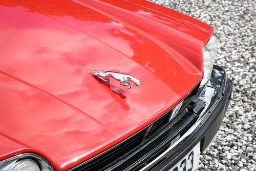 1991 Jaguar XJ-S Le Mans For Sale (picture 52 of 124)