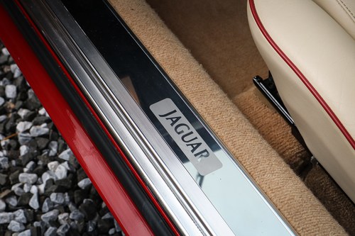 1991 Jaguar XJ-S Le Mans For Sale (picture 39 of 124)