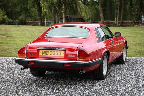 1991 Jaguar XJ-S Le Mans For Sale (picture 6 of 124)