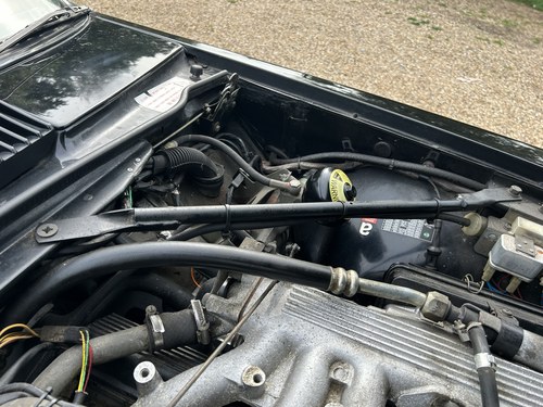 1989 Jaguar XJ-S Convertible V12 For Sale (picture 285 of 352)