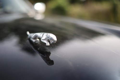 1989 Jaguar XJ-S Convertible V12 For Sale (picture 151 of 352)