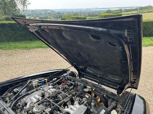 1989 Jaguar XJ-S Convertible V12 For Sale (picture 276 of 352)