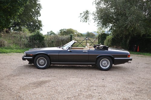 1989 Jaguar XJ-S Convertible V12 For Sale (picture 14 of 352)