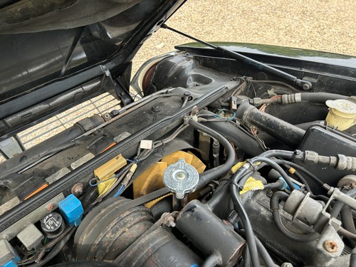 1989 Jaguar XJ-S Convertible V12 For Sale (picture 291 of 352)