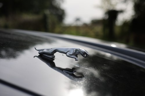 1989 Jaguar XJ-S Convertible V12 For Sale (picture 162 of 352)