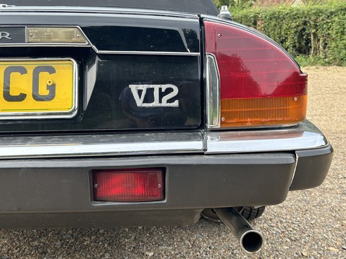 1989 Jaguar XJ-S Convertible V12 For Sale (picture 265 of 352)