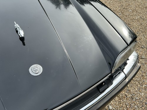 1989 Jaguar XJ-S Convertible V12 For Sale (picture 176 of 352)