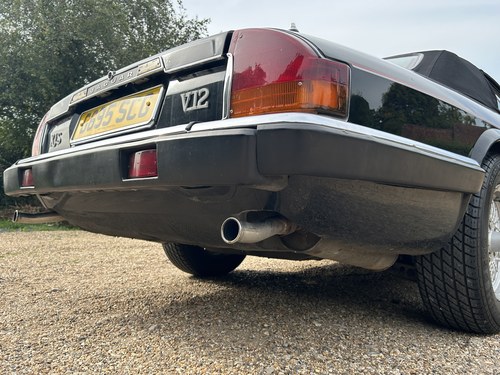 1989 Jaguar XJ-S Convertible V12 For Sale (picture 267 of 352)