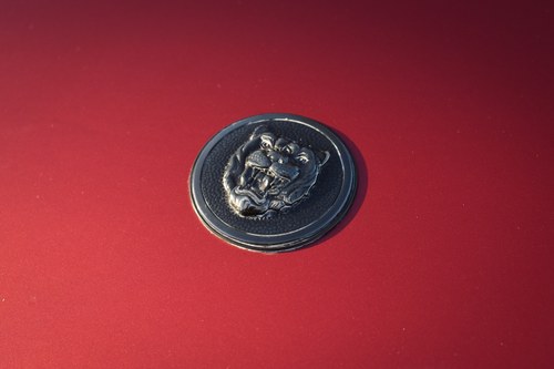 1989 Jaguar XJ-S V12 Convertible For Sale (picture 91 of 156)