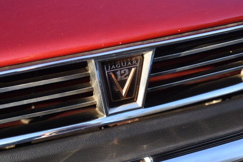 1989 Jaguar XJ-S V12 Convertible For Sale (picture 92 of 156)