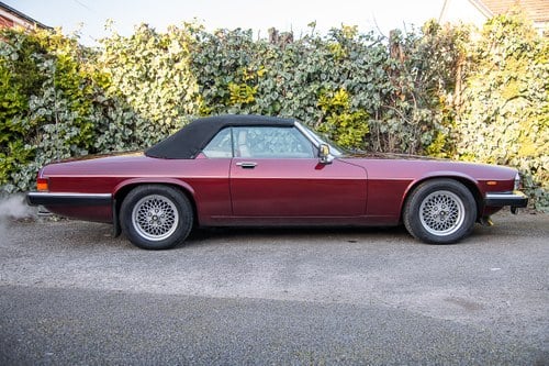 1990 Jaguar XJ-S Convertible Auto à vendre (picture 6 of 213)