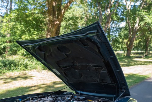 1986 Jaguar XJS Jubilee Edition by Guy Salmon En venta (imagen 148 de 189)