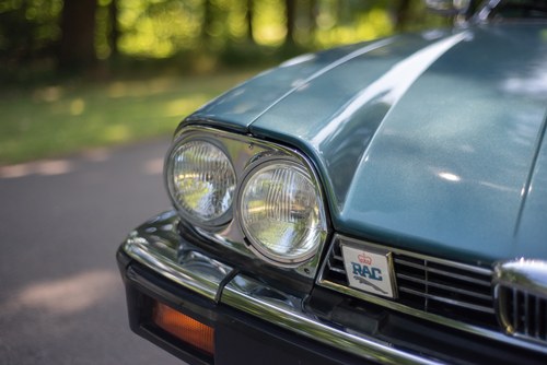 1986 Jaguar XJS Jubilee Edition by Guy Salmon En venta (imagen 128 de 189)