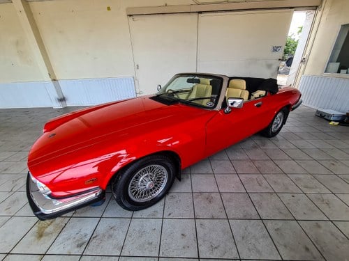 1988 Jaguar XJ-S V12 Te koop (foto 12 van 129)