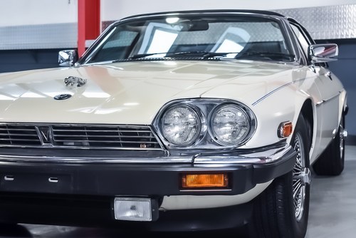 NO RESERVE - 1987 Jaguar XJ-SC Targa Coupe 5.3L V12 (LHD) En venta (imagen 68 de 97)