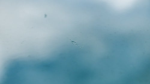 1974 Jaguar XJ12 L à vendre (picture 125 of 210)