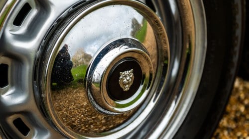 1974 Jaguar XJ12 L à vendre (picture 14 of 210)