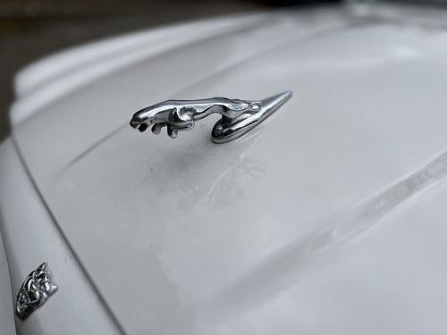 2005 Jaguar XJ8 SE zum Verkauf (Bild 78 von 89)