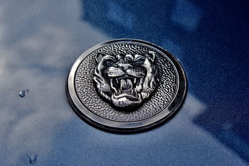 1992 Jaguar XJR-S à vendre (picture 64 of 136)