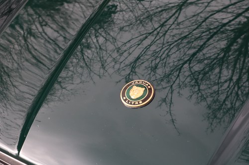 1995 Jaguar XJS 4.0 Celebration Convertible à vendre (picture 61 of 123)