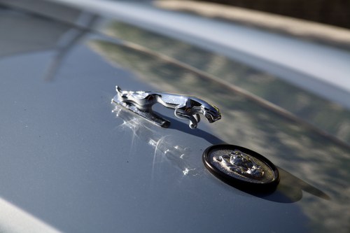 1995 Jaguar XJS Manual till salu (bild 81 av 126)