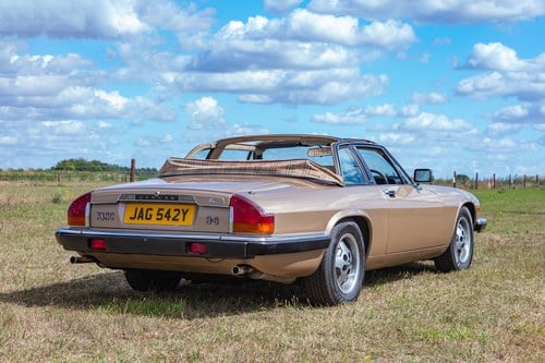 1984 Jaguar XJ-SC 3.6 ‘Burberry’ Special Edition Te koop (foto 19 van 274)