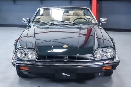 NO RESERVE - 1991 Jaguar XJS Convertible V12 - LHD zum Verkauf (Bild 2 von 95)