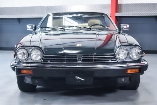 NO RESERVE - 1991 Jaguar XJS Convertible V12 - LHD zum Verkauf (Bild 5 von 95)
