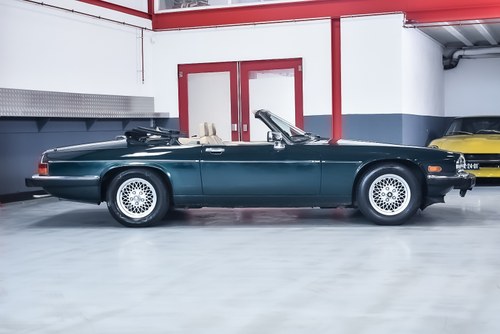 NO RESERVE - 1991 Jaguar XJS Convertible V12 - LHD zum Verkauf (Bild 16 von 95)