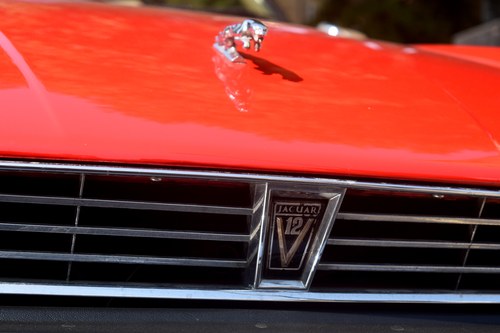 1989 Jaguar XJS Convertible In vendita (immagine 71 di 131)