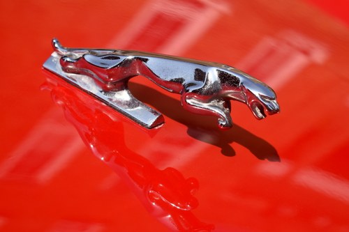 1989 Jaguar XJS Convertible In vendita (immagine 70 di 131)