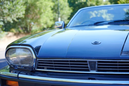 1989 Jaguar XJS V12 Convertible En venta (imagen 90 de 133)