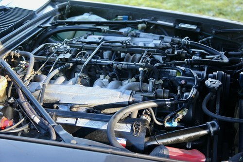 1984 Jaguar XJ-S HE à vendre (picture 104 of 130)