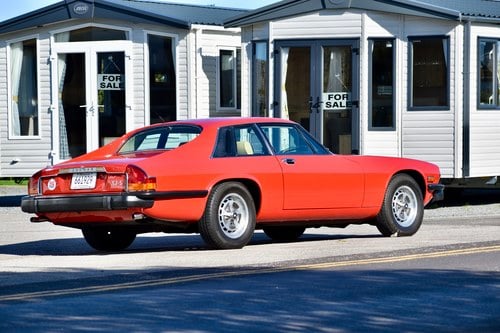 1977 Jaguar XJS 5.3 V12 (LHD) à vendre (picture 5 of 253)