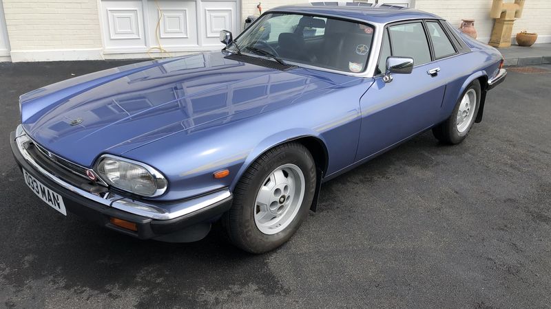 1981 Jaguar XJ-S HE For Sale (picture 1 of 99)