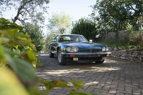 1989 Jaguar XJS 5.3 Convertible In vendita (immagine 11 di 246)
