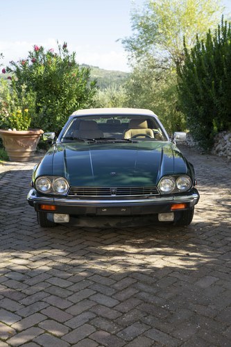 1989 Jaguar XJS 5.3 Convertible In vendita (immagine 10 di 246)