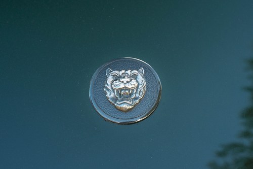 1989 Jaguar XJS 5.3 Convertible In vendita (immagine 169 di 246)