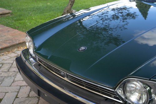 1989 Jaguar XJS 5.3 Convertible In vendita (immagine 172 di 246)
