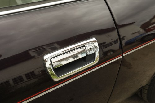 1993 Jaguar XJS zum Verkauf (Bild 101 von 170)