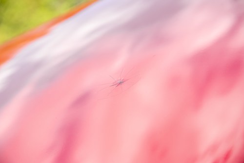 1953 Jaguar XK120 Roadster RHD For Sale (picture 112 of 200)