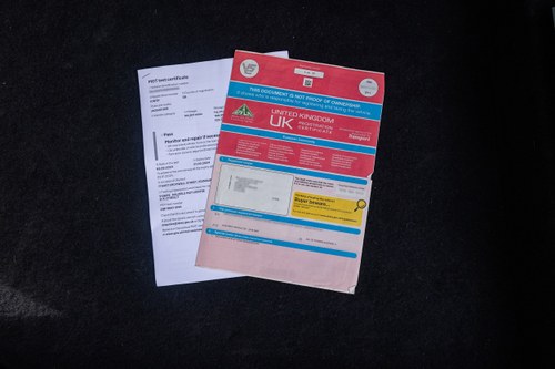 1997 Jaguar XK8 Convertible For Sale (picture 151 of 153)