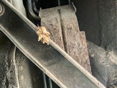 2007 Jaguar XKR Portfolio Special Edition In vendita (immagine 140 di 156)