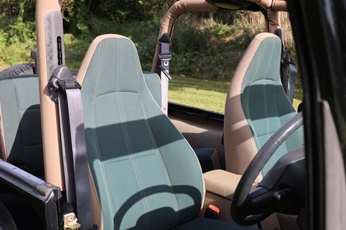 1999 TJ Jeep Wrangler 4.0 Sahara zum Verkauf (Bild 43 von 259)