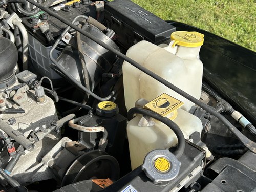 1999 TJ Jeep Wrangler 4.0 Sahara zum Verkauf (Bild 209 von 259)