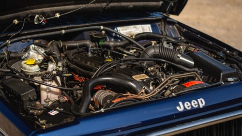 1995 JEEP CHEROKEE 4.0 LIMITED In vendita (immagine 151 di 188)