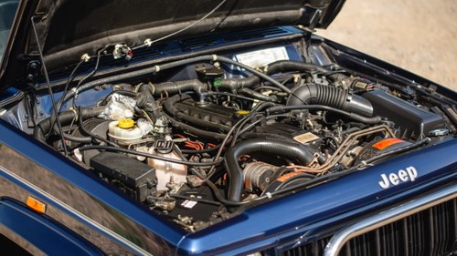 1995 JEEP CHEROKEE 4.0 LIMITED In vendita (immagine 157 di 188)