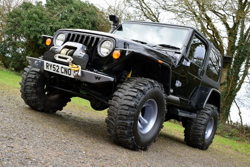 2003 Jeep Wrangler Sahara 4.0 For Sale (picture 13 of 130)