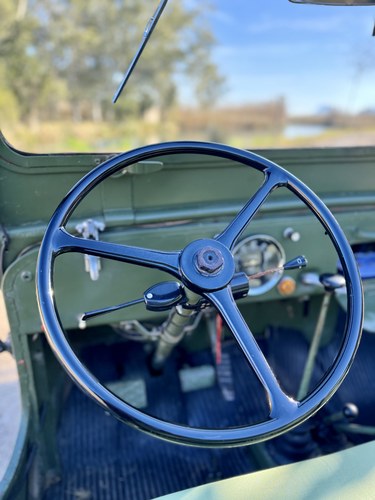 1970 Willys Jeep CJ-3B VIASA En venta (imagen 20 de 80)